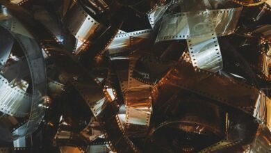 adult entertainment stock growth