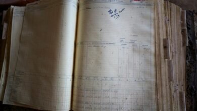 historical investigation of numbers