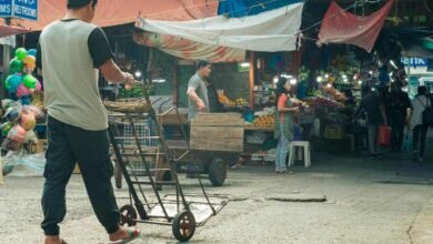 market trends and analysis