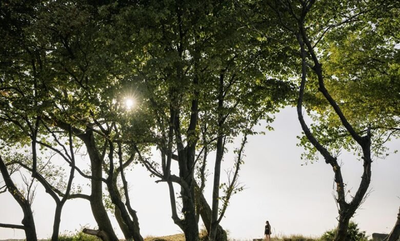 public lookup safety update