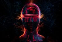 stellar cyber node identification